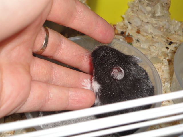 dsc00320.jpg dsc00320.jpg