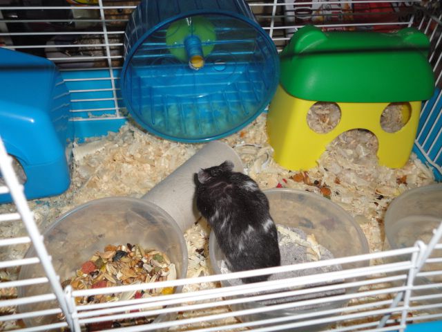 dsc00321.jpg dsc00321.jpg