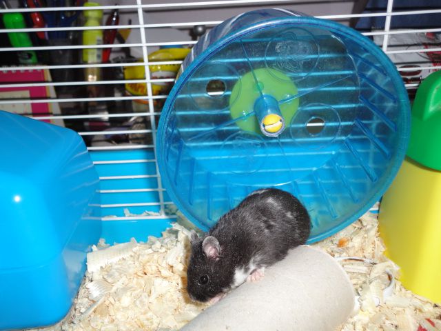 dsc00322.jpg dsc00322.jpg